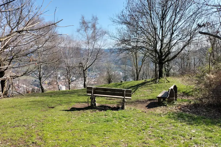 Visite découverte du Bois d'Avaize : histoire, géologie et botanique à Saint-Étienne