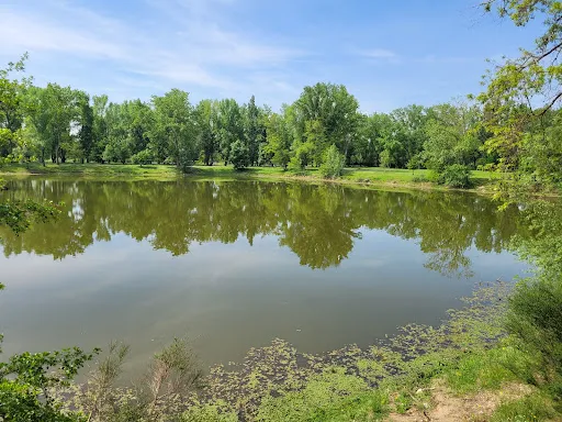 Étang les Garennes à Andrézieux-Bouthéon
