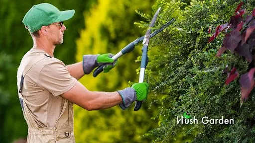 Hush Garden | Jardinier Privé à Andrézieux-Bouthéon