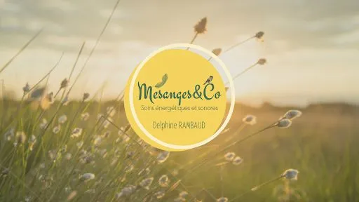 Mesanges & Co - Delphine RAMBAUD - Réflexologie plantaire - Reiki - Sonothérapie à Andrézieux-Bouthéon