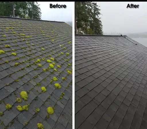 Mr carbonnet rudy à Andrézieux-Bouthéon