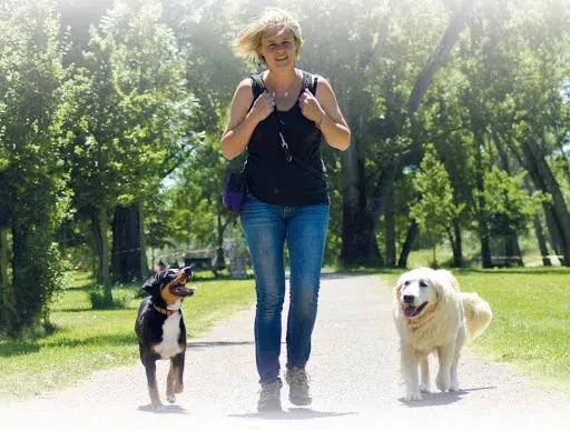 Nat & Dogs à Andrézieux-Bouthéon