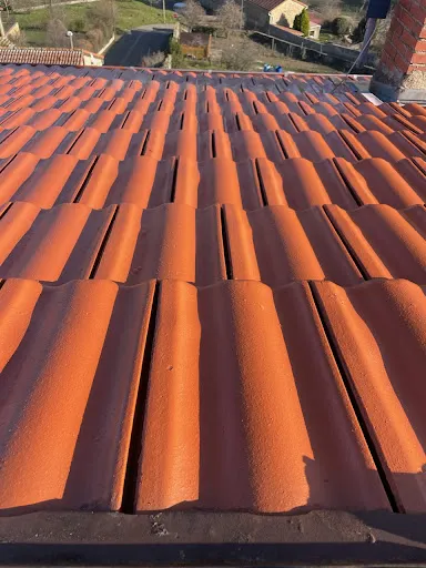 Protech habitat toiture &facades à 42160 Bonson